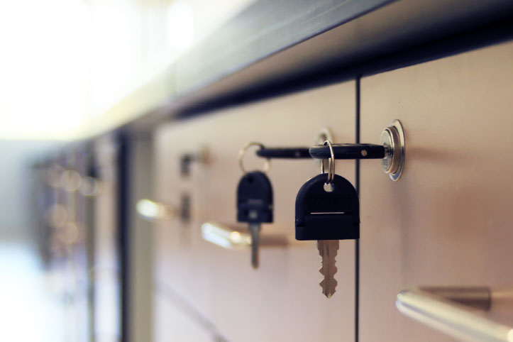 Image hover effect image